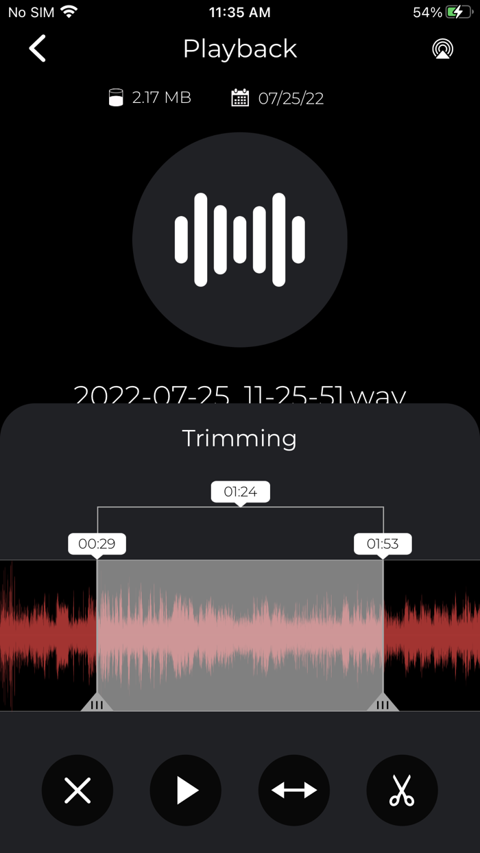 Audio Recorder and Voice Editor