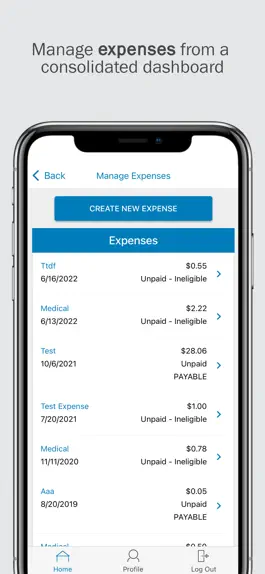 Game screenshot Consolidated Admin Services hack
