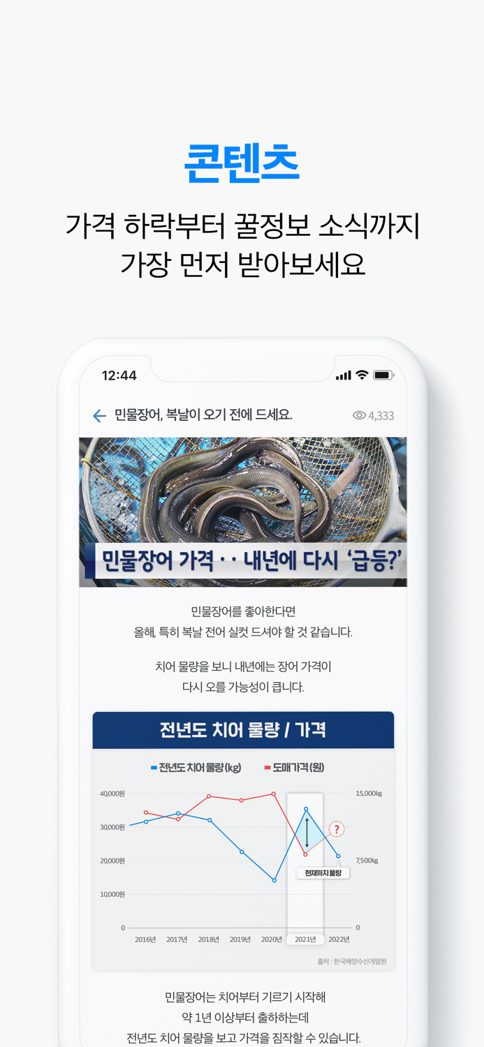 인어교주해적단