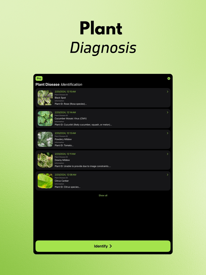 Plant Disease Identifier AI