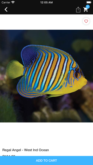 Reef Aquatics Screenshot