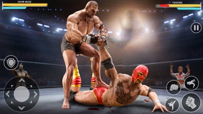 Pro Wrestling: Kickboxing Game Screenshot