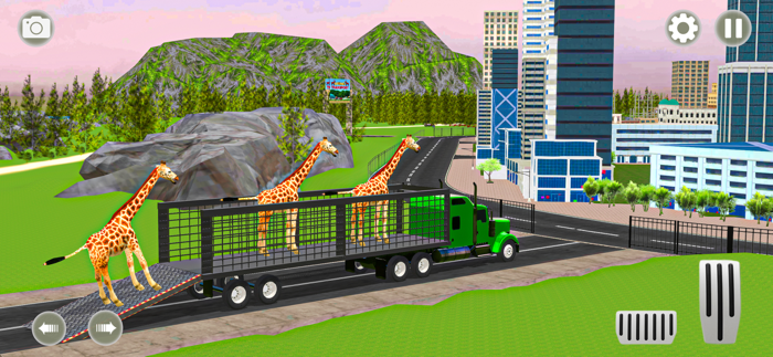 동물 레이싱 변형 게임