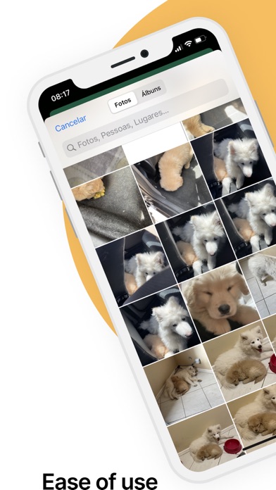 DogTector Screenshot