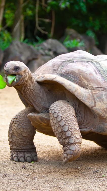 Seychelles Wallpapers screenshot-7