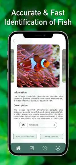 Game screenshot Fish Identifier ID Fish Verify hack