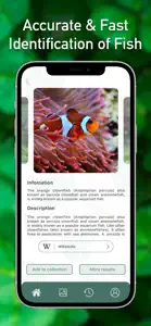 Fish Identifier ID Fish Verify screenshot #3 for iPhone