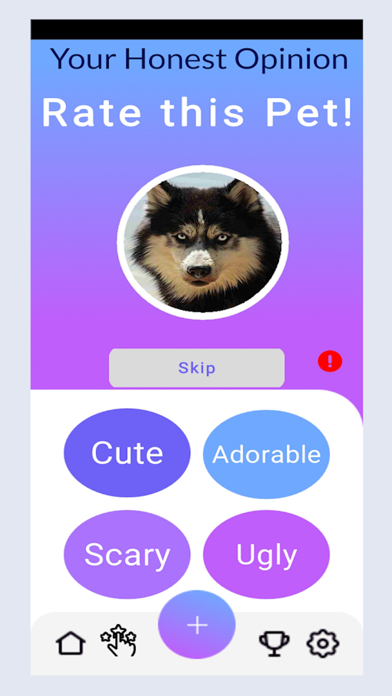 Pet Share Photo Voting Game Screenshot