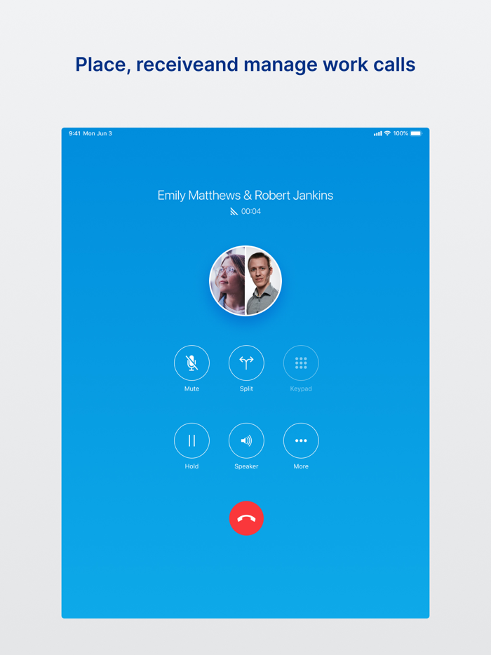 UNIVERGE BLUE™ CONNECT