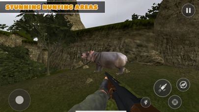 Safari wild animal hunter game Screenshot
