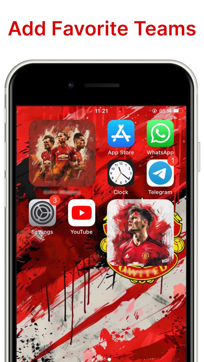 Photo Widget Color Picture