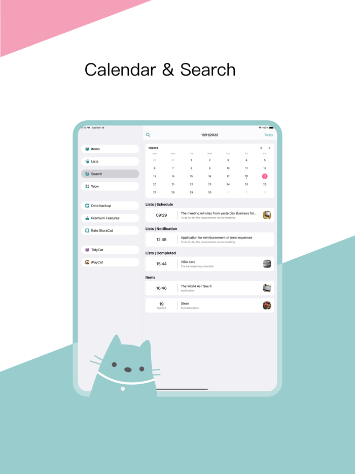 StoraCat Tidy Up and Schedule