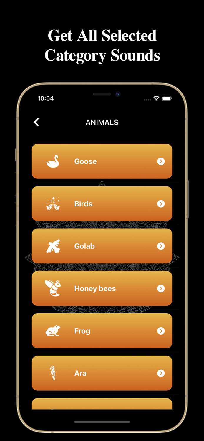 Relax Sounds and Meditation