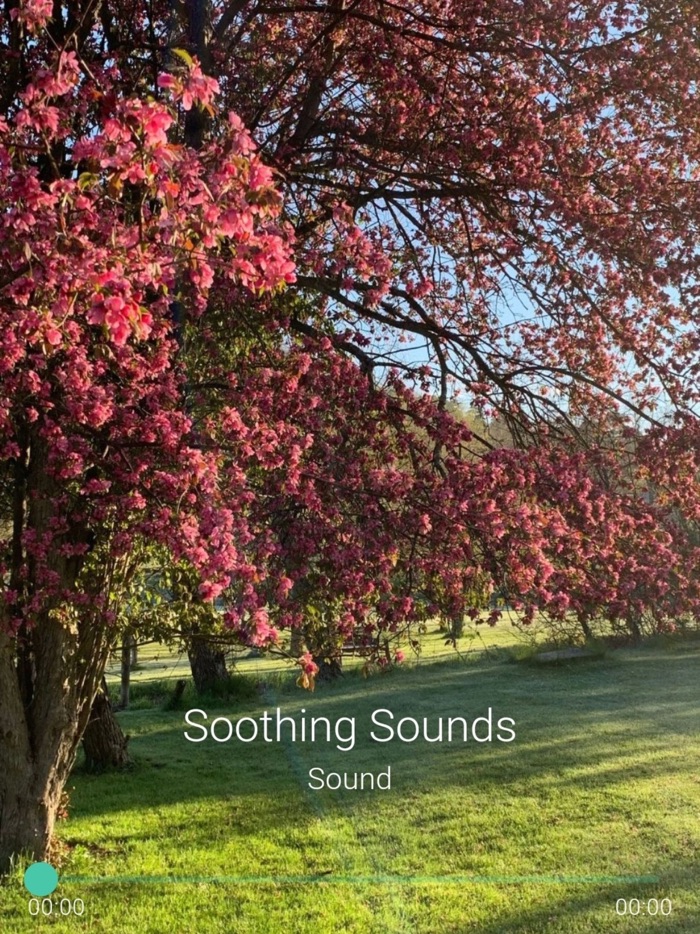 Soothing Sounds Pro Plus