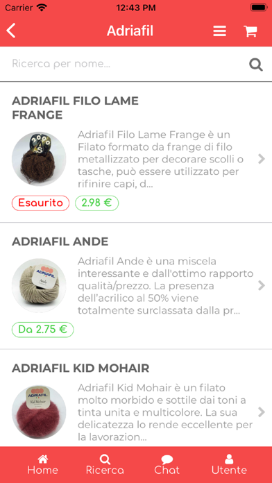 Centro Singer Arezzo Screenshot