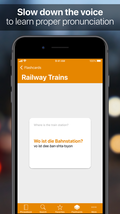 SpeakEasy Phrases & Flashcards Screenshot