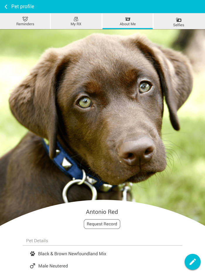 Caring Paws Animal Hospital