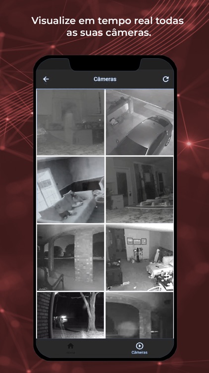 Lions Segurança screenshot-7