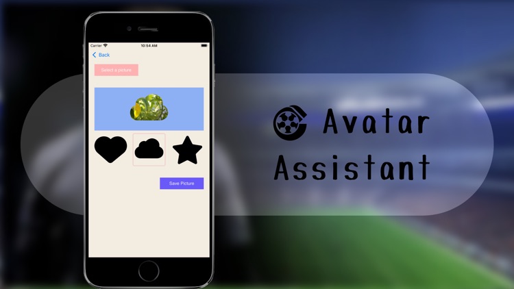 Avatar assistant