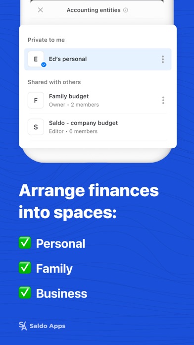 Saldo: Finance Management App Screenshot