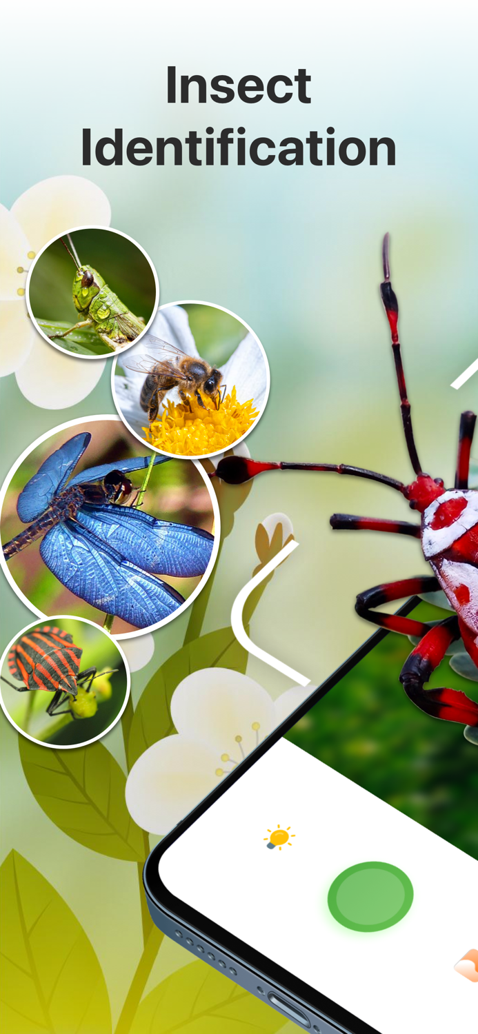Bug Identifier Insect Finder