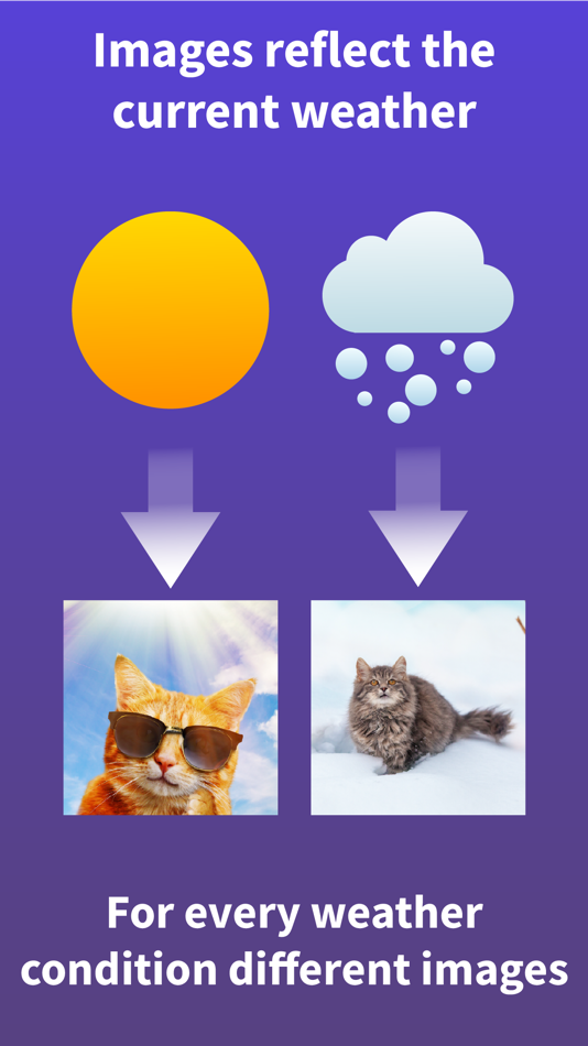 #4. Cat Widget - World of Cats (iOS) โดย: Gniechwitz & Walterbusch GbR