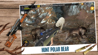 Animal Hunting Games Gun Games Screenshot