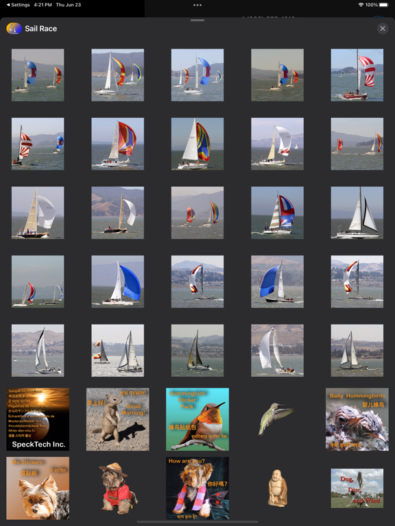 Screenshot #6 pour Sail Race