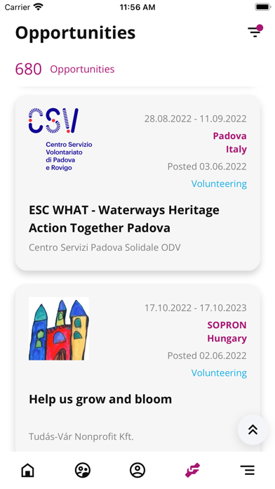 European Solidarity Corps Screenshot