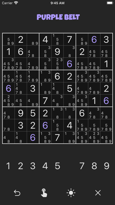 Sudoku Black Belt Screenshot