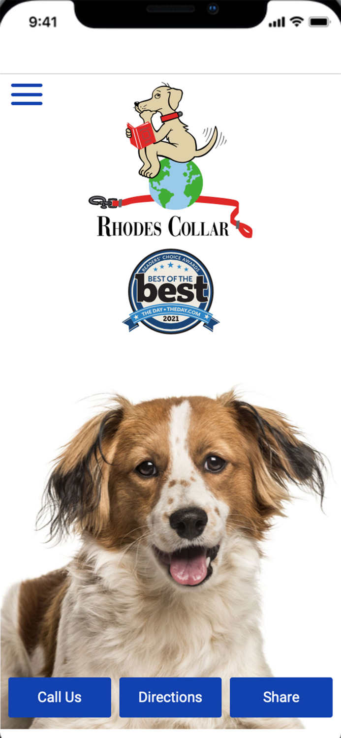 Rhodes Collar Dog Training
