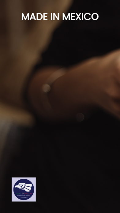 Made in Mexico Screenshot