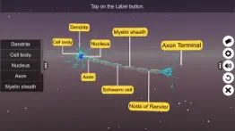 How to cancel & delete learn neuron 2