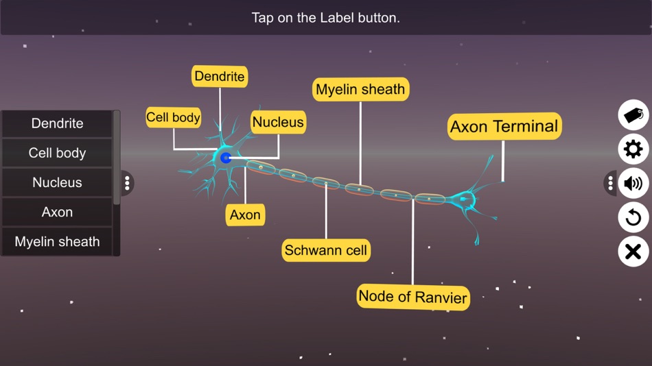 #3. Learn Neuron (iOS) By: VIRTUAL FILAMENTS PRIVATE LIMITED