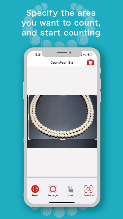 CountPearl Biz screenshot-3