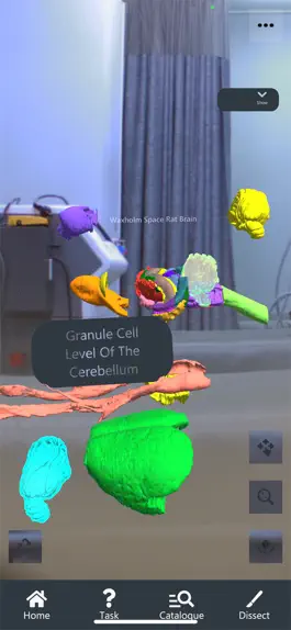 Game screenshot Nevrolens hack