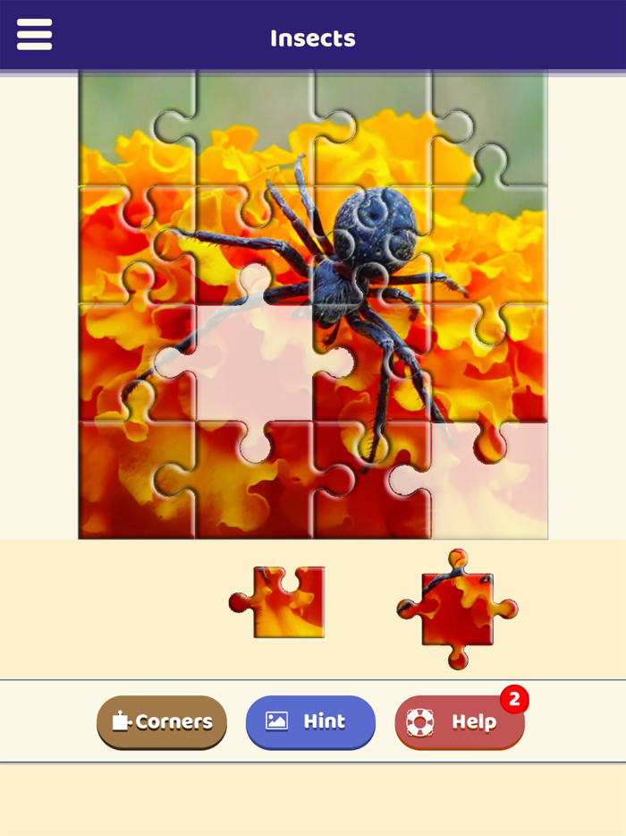 Insect Love Puzzle