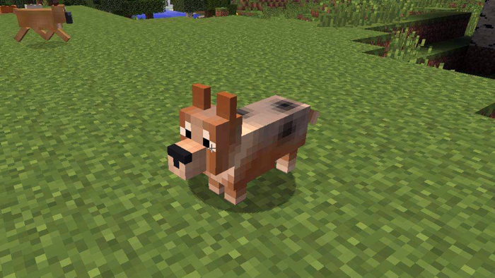 Animals Mod for Minecraft PE