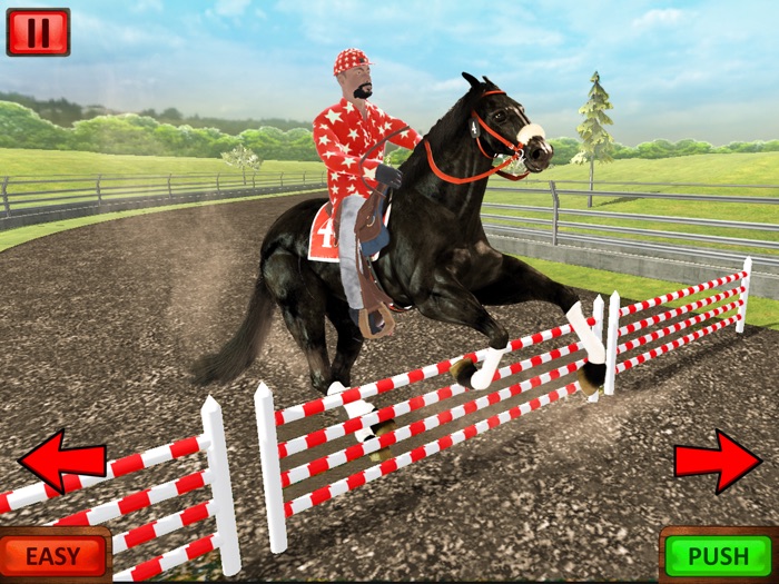 Cowboy Horse Riding and Racing