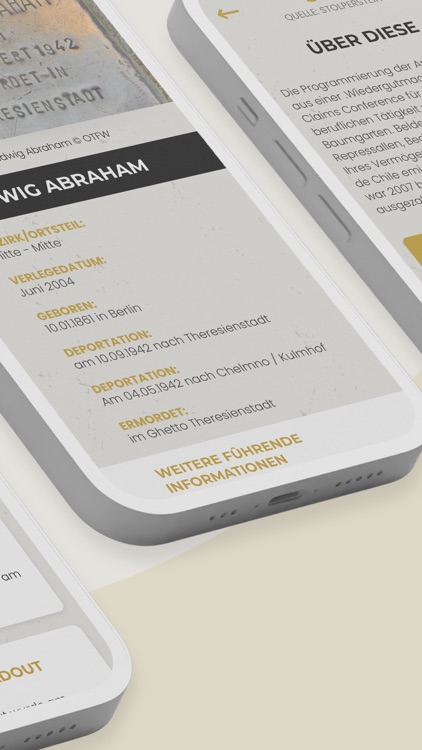 Stolpersteine - Die Schicksale screenshot-4