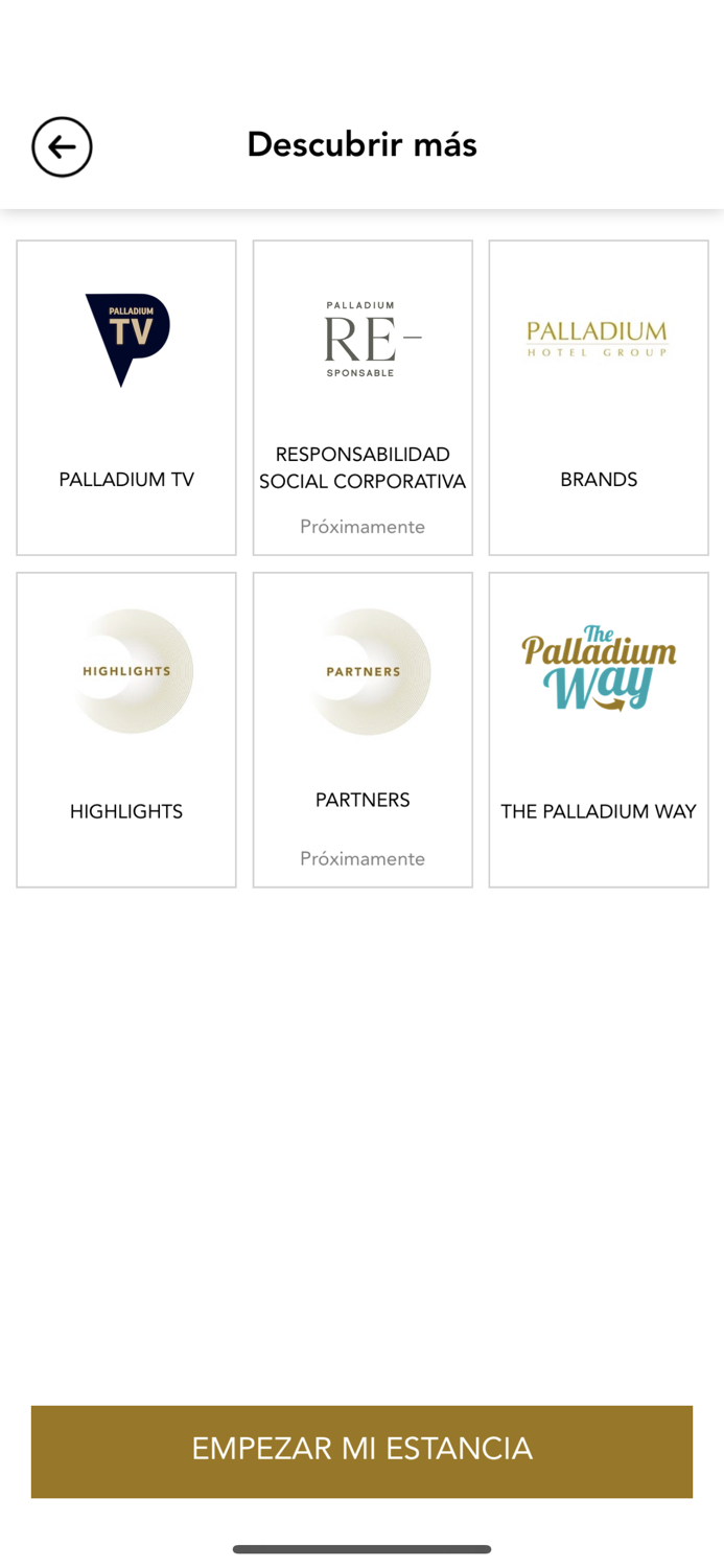 Palladium Hotel Group