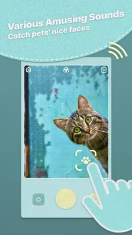 Game screenshot HeyPet: Toy Cam for Pets hack