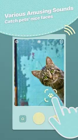 Game screenshot HeyPet: Toy Cam for Pets hack