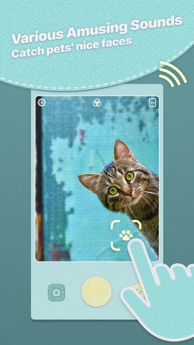 HeyPet: Toy Cam for Pets Screenshot