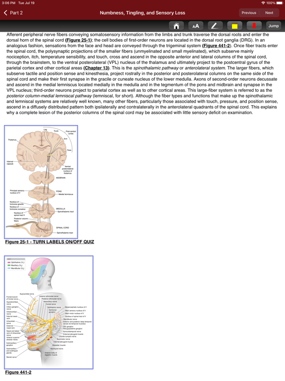 Harrison’s Internal Med. 21/E iPad screenshot