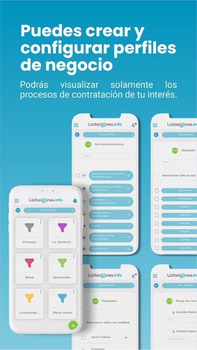 Licitaciones Screenshot