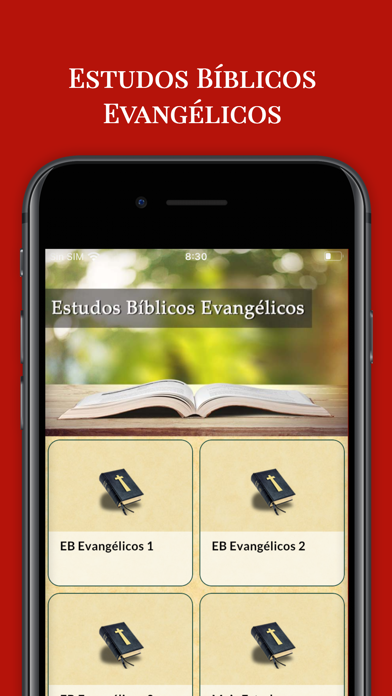 Estudos Bíblicos Evangélicos Screenshot