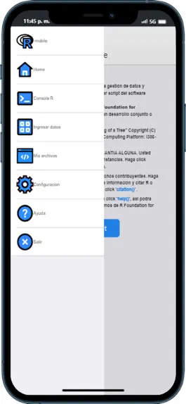Game screenshot R-mobile apk