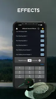 Loon Sound Effects iphone bilder 1