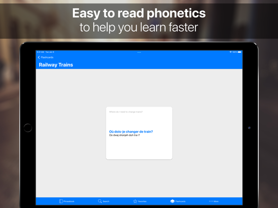 Screenshot #3 for SpeakEasy French Phrasebook